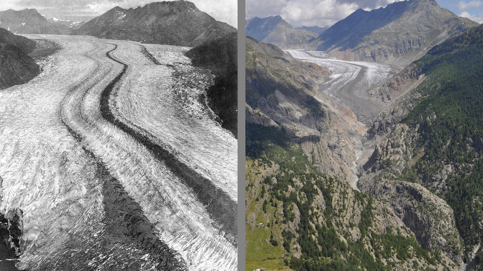 Grosser Aletschgletscher 1856 und 2010