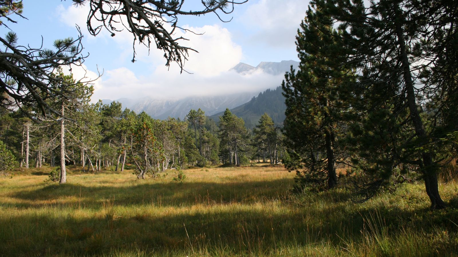 UNESCO-Biosphäre Entlebuch, Biosphärenreservat der UNESCO seit 2001