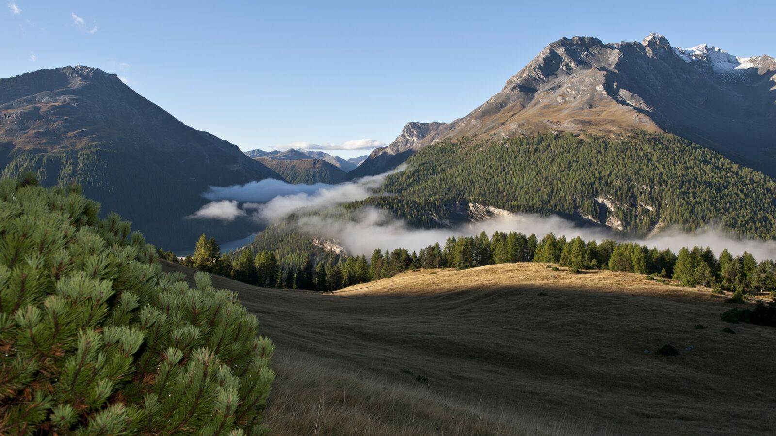Biosphere Müstair Alp la Schera