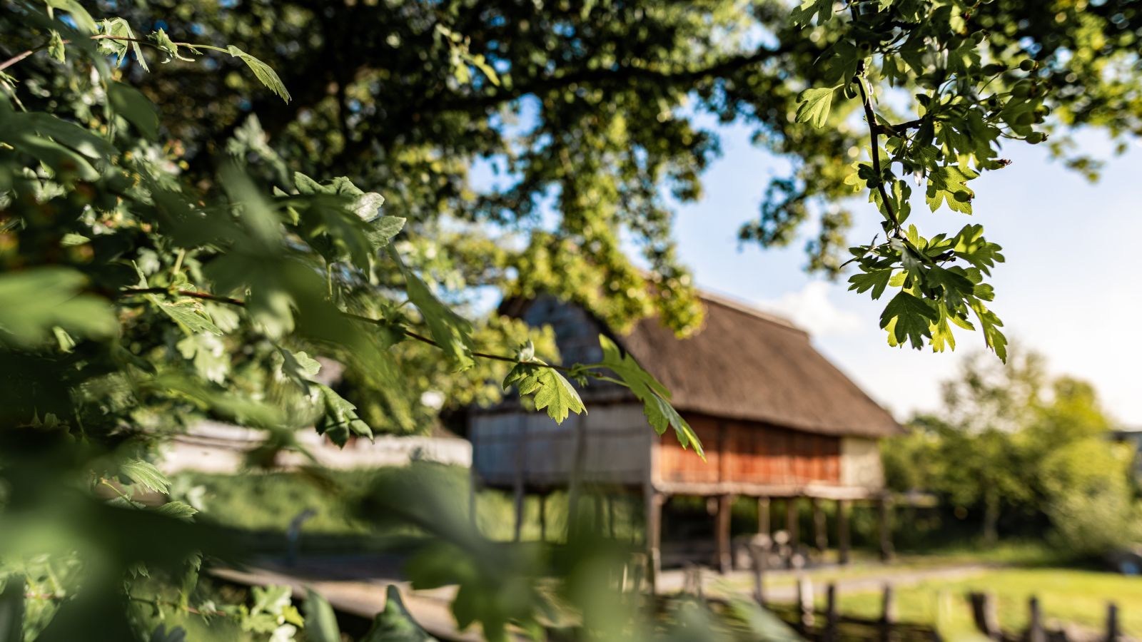 Prähistorische Pfahlbauten um die Alpen, UNESCO-Welterbe seit 2011