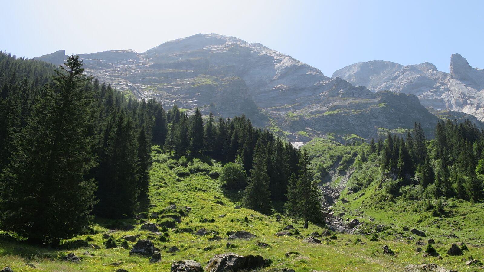 staeger_rychenbachalp.jpg