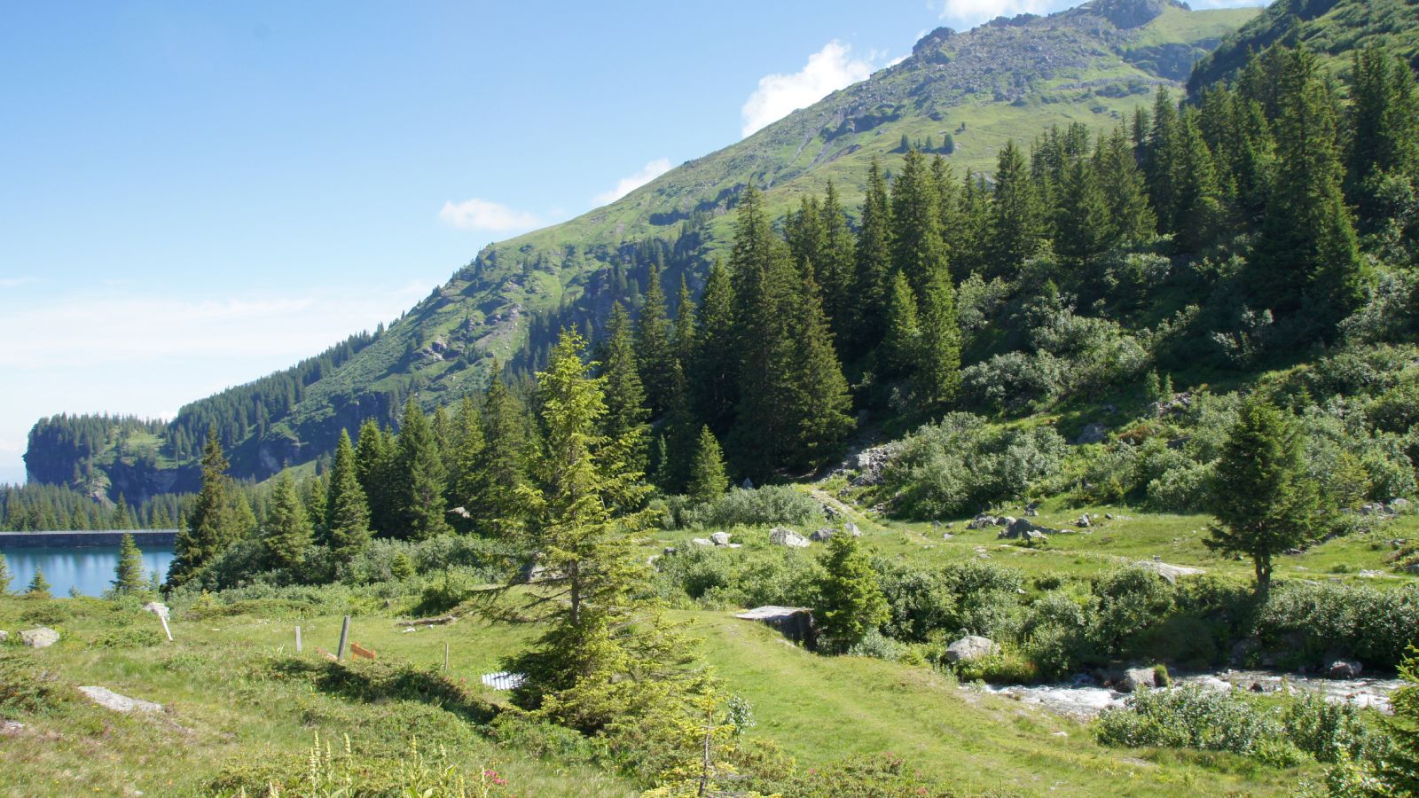 Ausserschulischer Lernort Mettmen