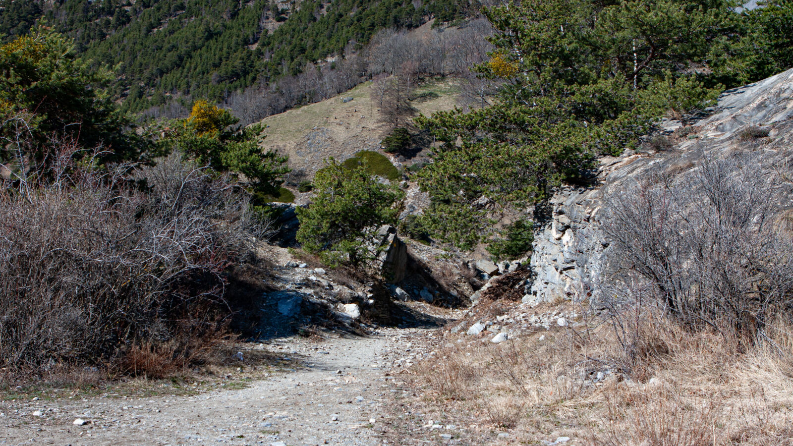Hiking trail near Riedgarto