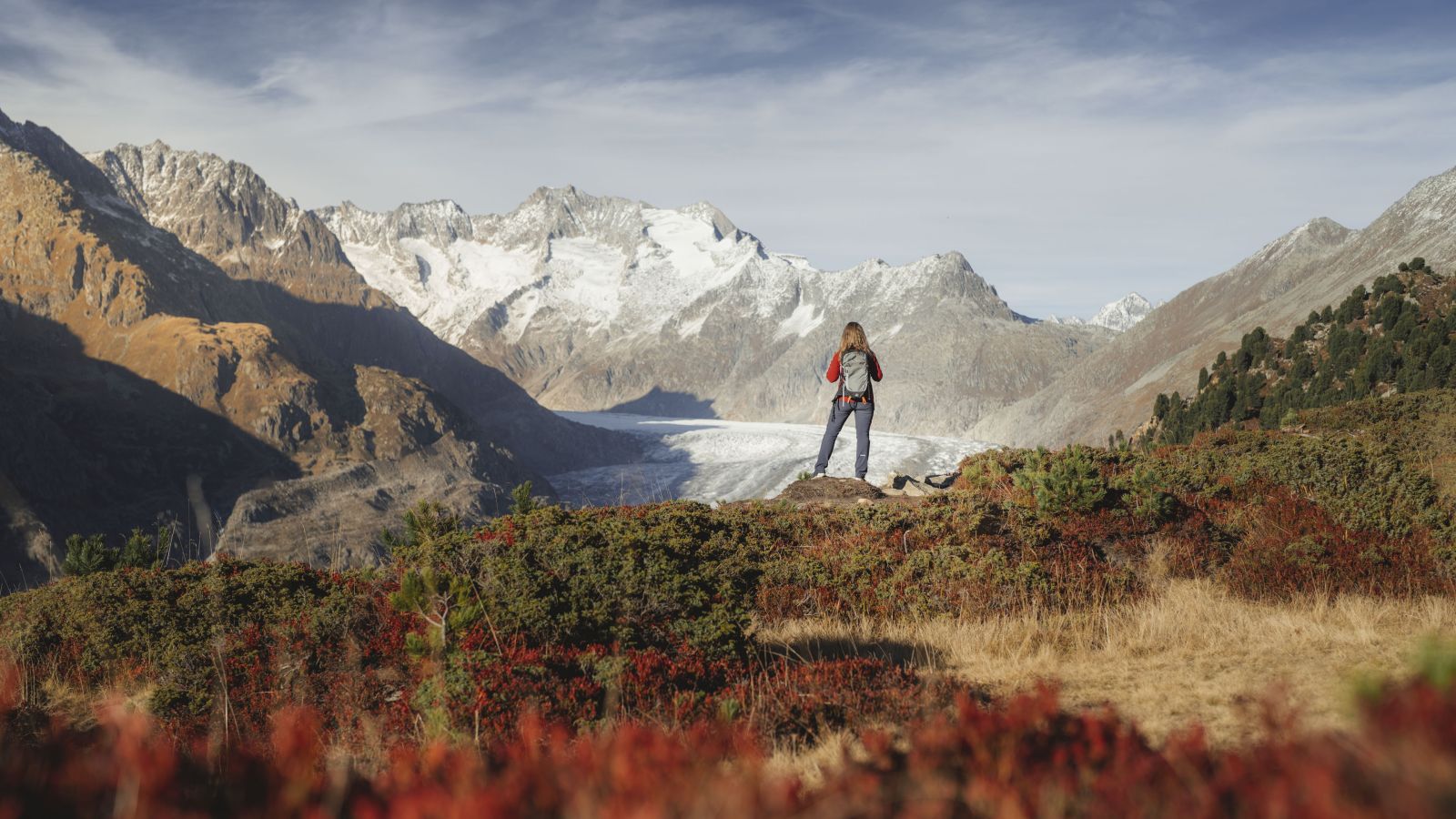 Blick auf den Aletschgletscher