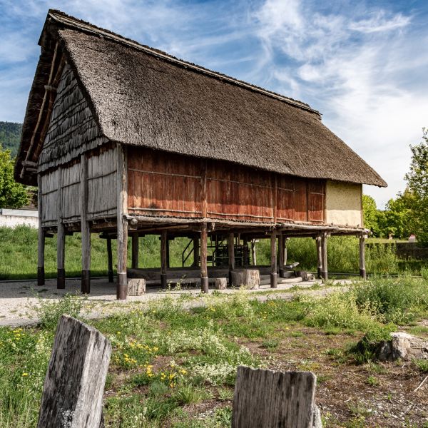 Maison à plancher surélevé