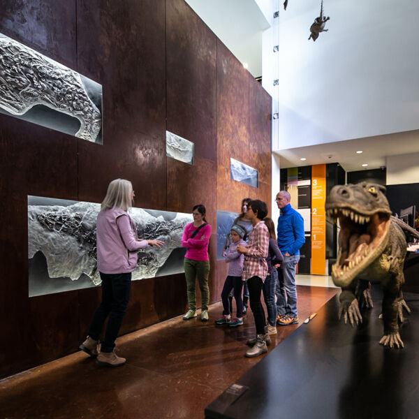 Museo dei Fossili del Monte San Giorgio