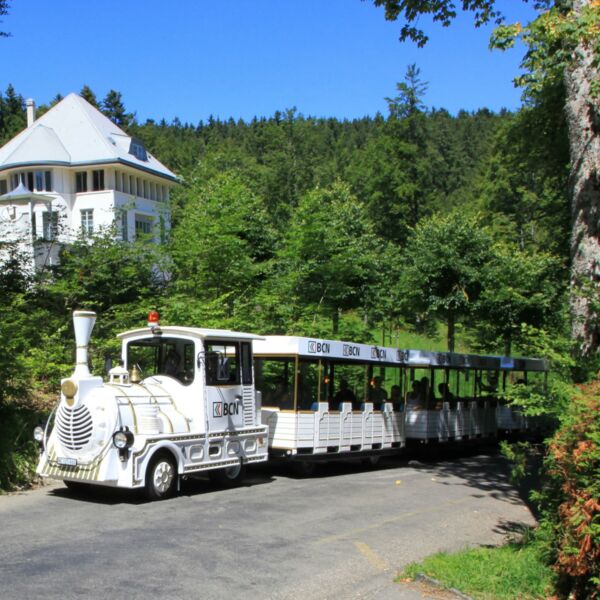 Touristic Train (La Chaux-de-Fonds)