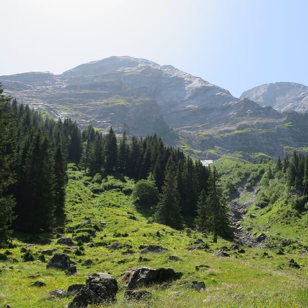 staeger_rychenbachalp.jpg