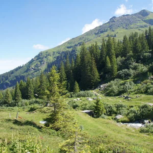 Ausserschulischer Lernort Mettmen