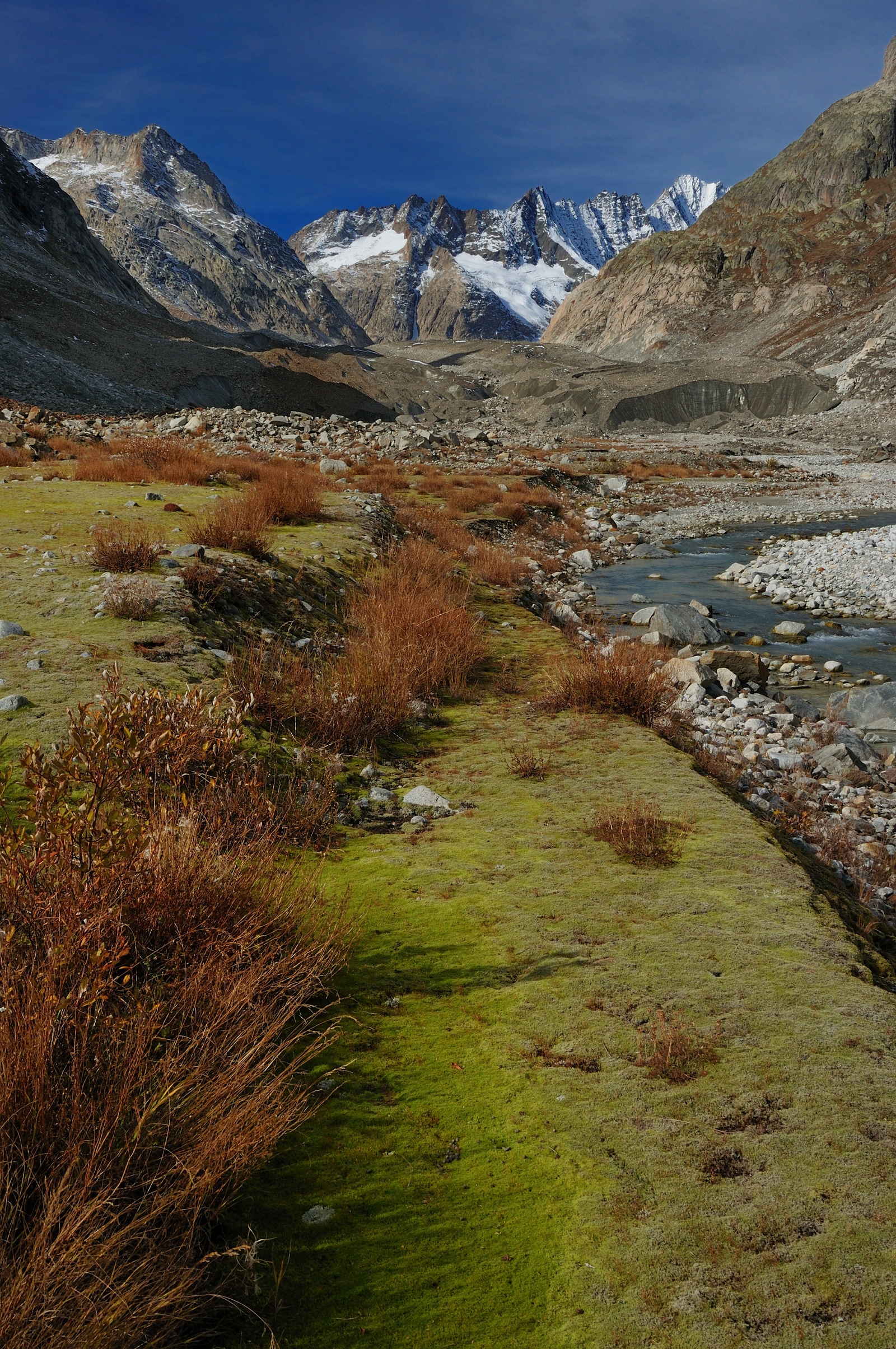 Gletschervorfeld Unteraargletscher
