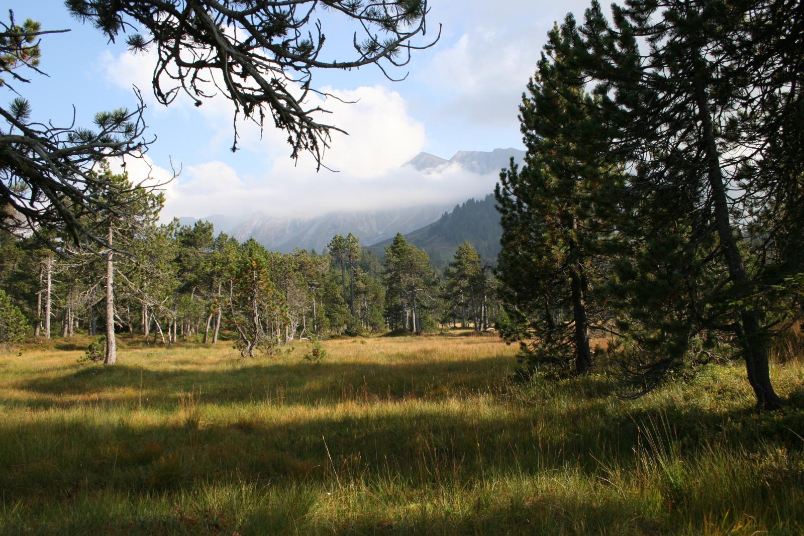 UNESCO-Biosphäre Entlebuch, Biosphärenreservat der UNESCO seit 2001