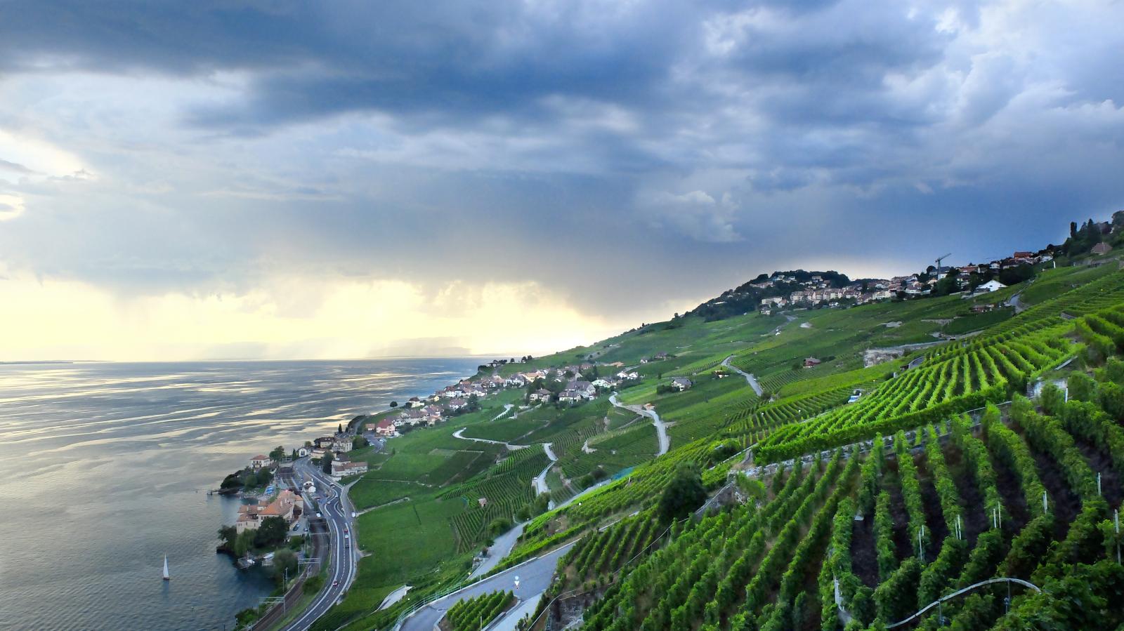 Lavaux, Weinberg-Terrassen, UNESCO-Welterbe seit 2007