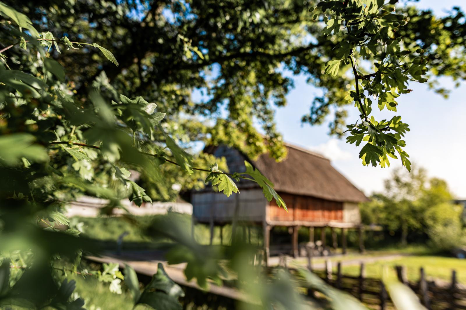 Prähistorische Pfahlbauten um die Alpen, UNESCO-Welterbe seit 2011