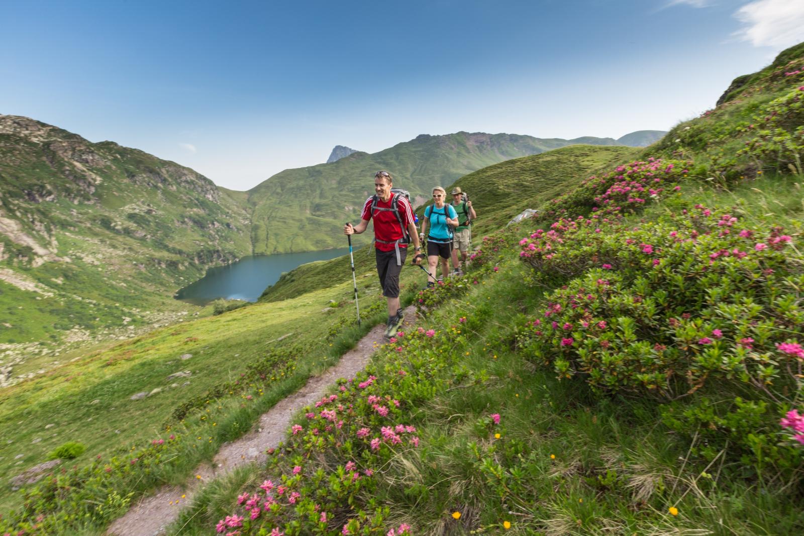 Schweizer Tektonikarena Sardona, UNESCO-Welterbe seit 2008 