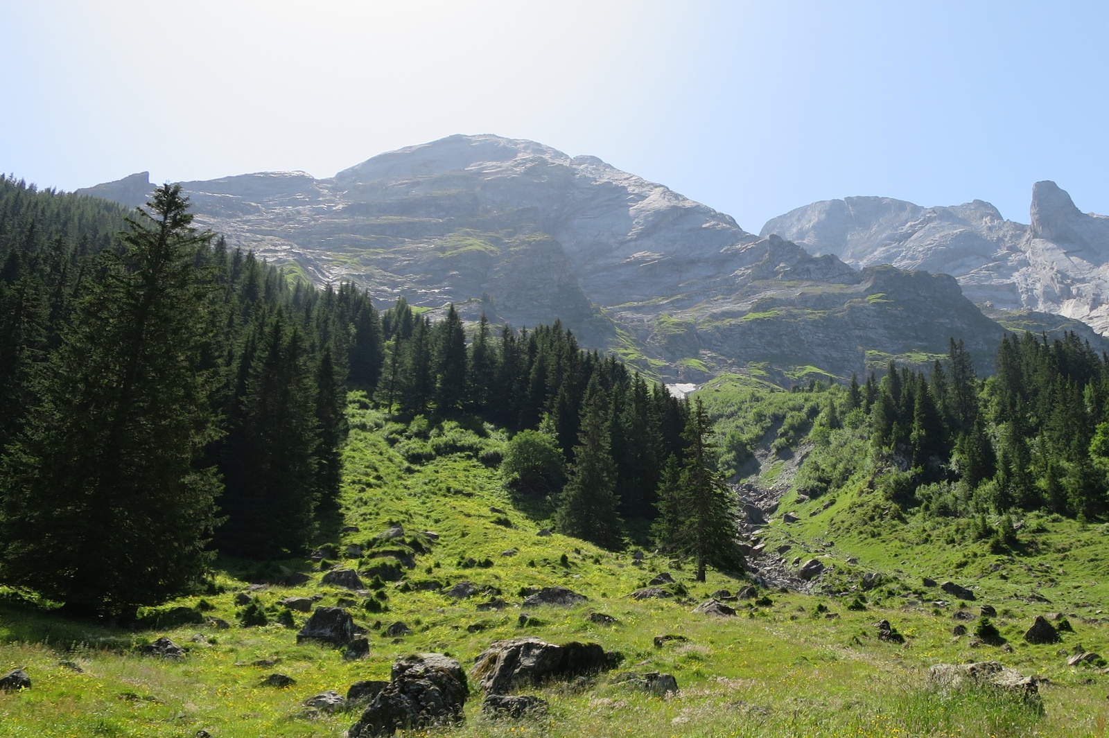 staeger_rychenbachalp.jpg