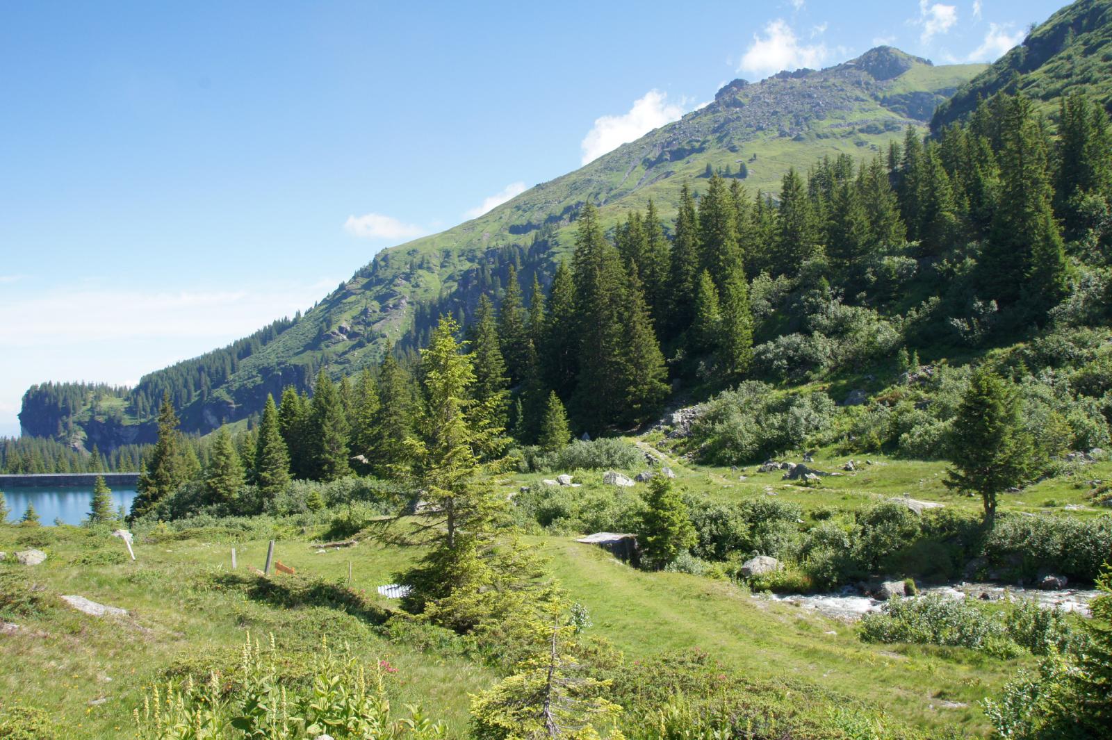 Ausserschulischer Lernort Mettmen