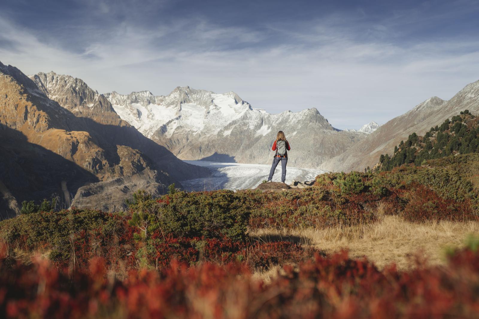 Blick auf den Aletschgletscher